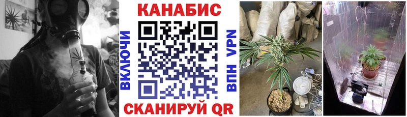 Сколько стоит Сясьстрой МАРИХУАНА  МЕГА зеркало  Кокаин  ТГК  Гашиш  Alpha PVP  Мефедрон 