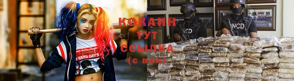 соль курить ск Алзамай