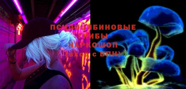 индика Алексеевка