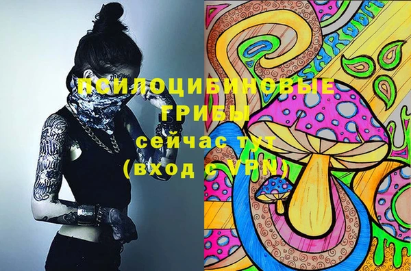 соль курить ск Алзамай