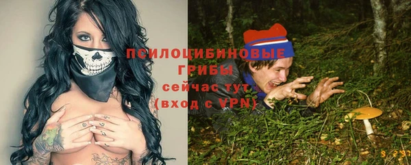 эйфоретик Переславль-Залесский