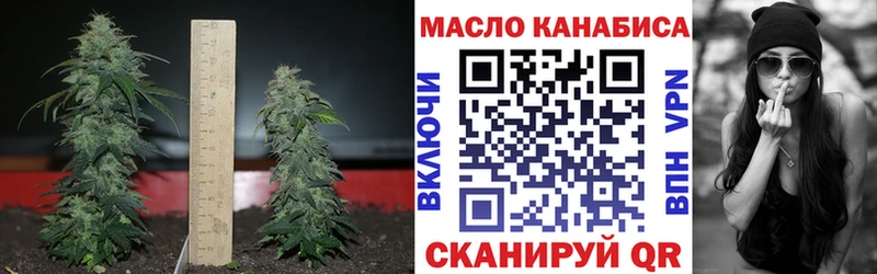 ТГК концентрат  Сясьстрой 