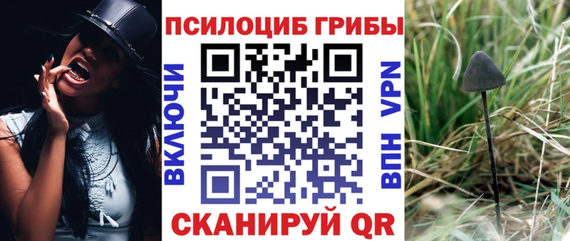 Псилоцибиновые грибы Cubensis  купить   omg   Сясьстрой 