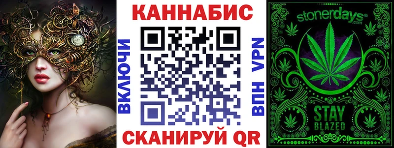 Конопля гибрид  закладки  Сясьстрой 